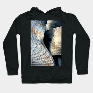 Titanium waves Hoodie